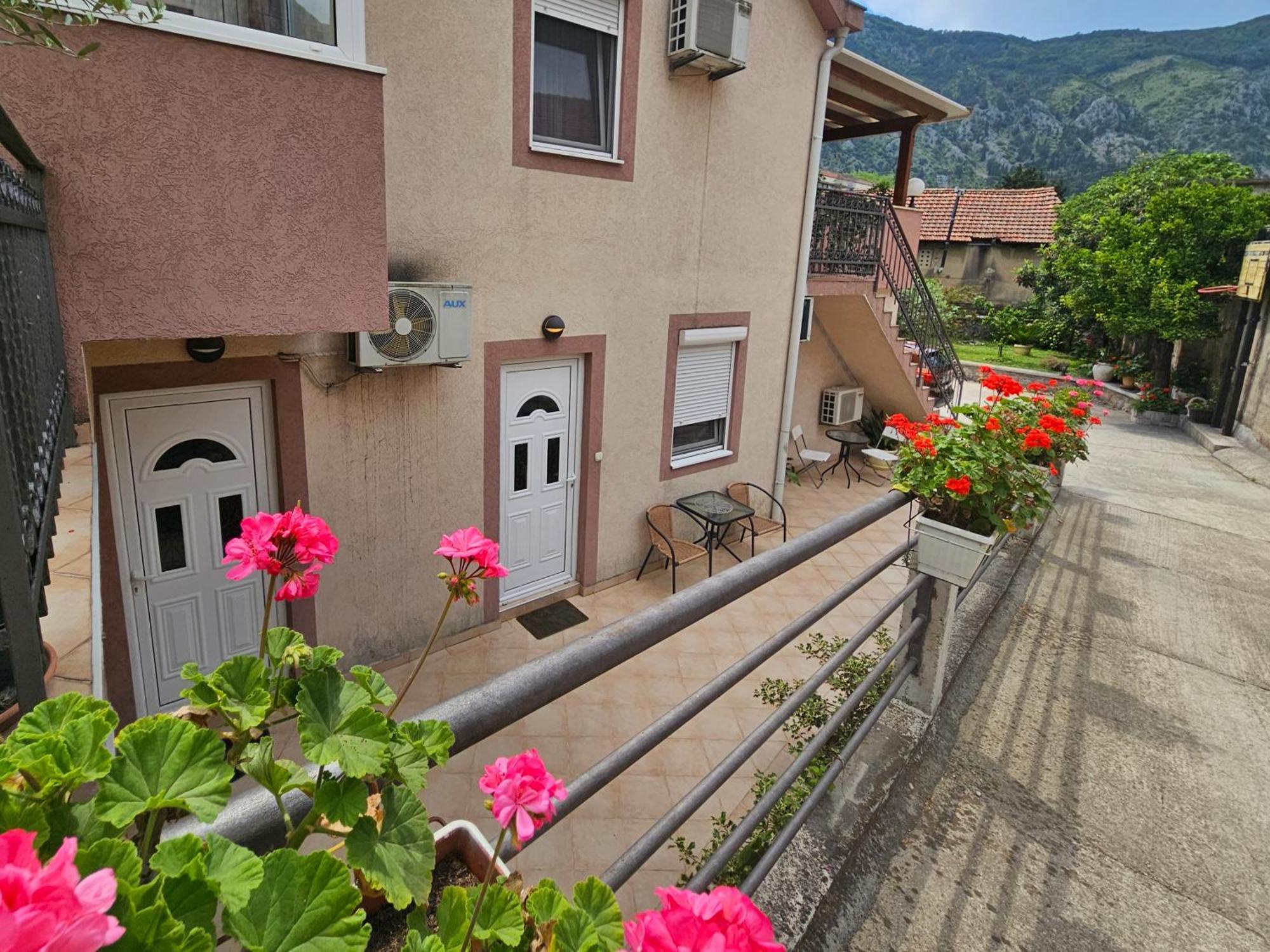 Apartment Aleksandar Kotor Exterior foto